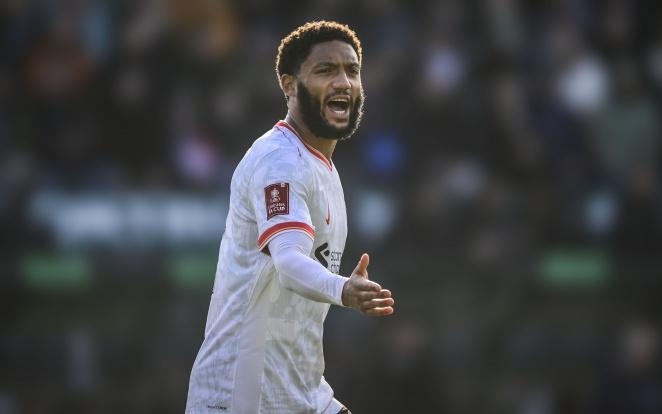 了强大的心 了强大的心